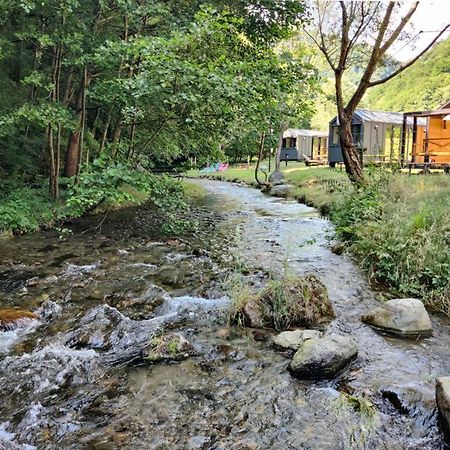 Transfagarasan River Retreat Arefu Bagian luar foto